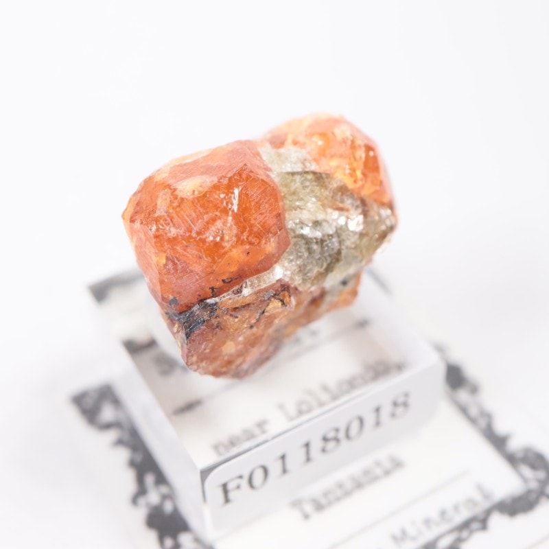 ���󥶥˥��� ���ڥ���ƥ��󥬡��ͥå�