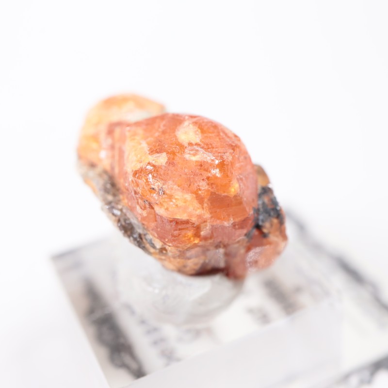 ���󥶥˥��� ���ڥ���ƥ��󥬡��ͥå�