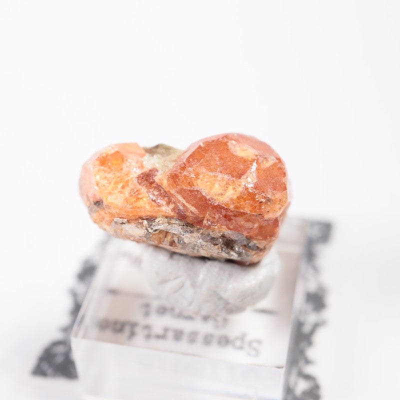 ���󥶥˥��� ���ڥ���ƥ��󥬡��ͥå�