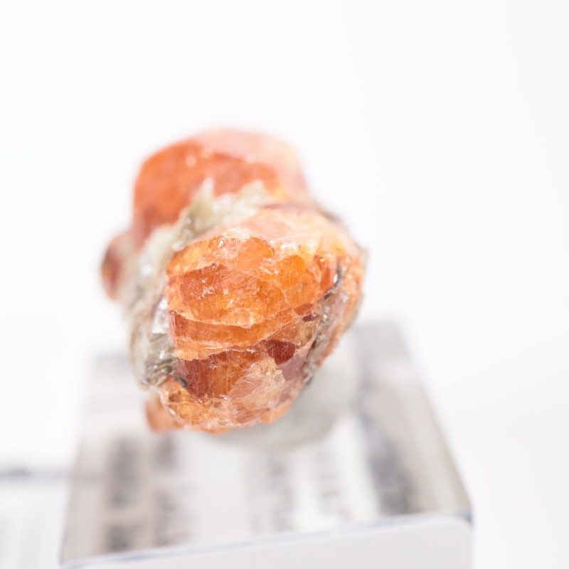 ���󥶥˥��� ���ڥ���ƥ��󥬡��ͥå�