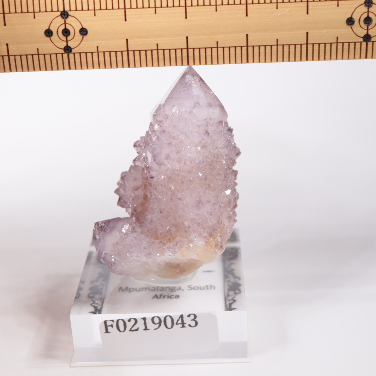 ��եꥫ�� ����������������