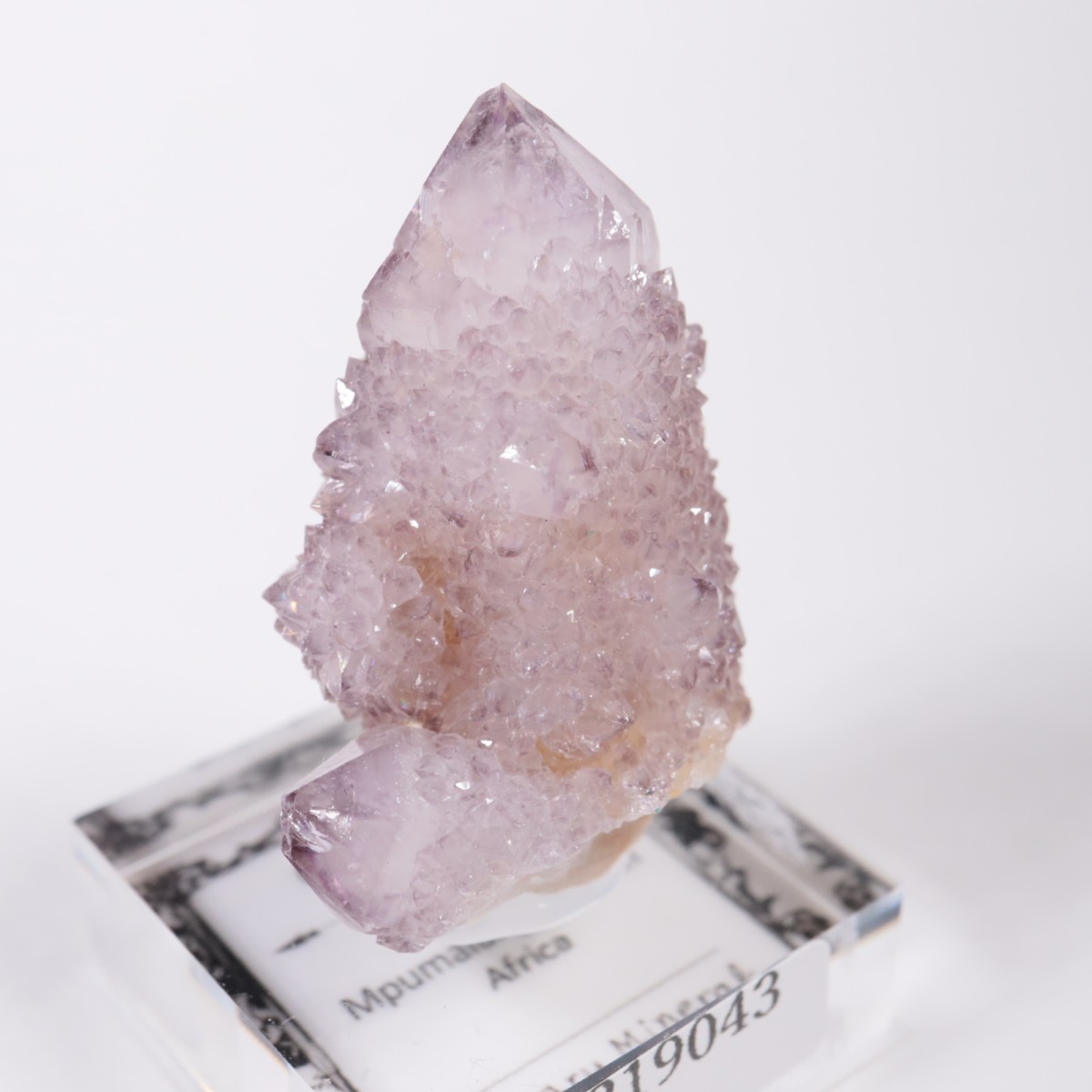 ��եꥫ�� ����������������