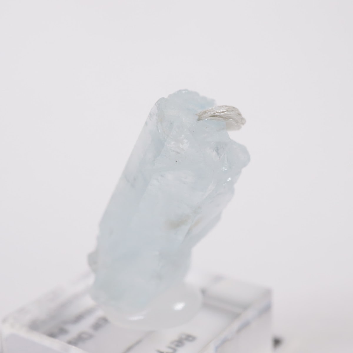 �ѥ������� �٥��