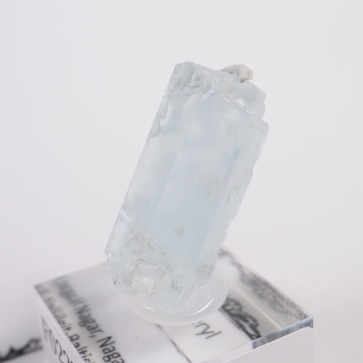 �ѥ������� �٥��