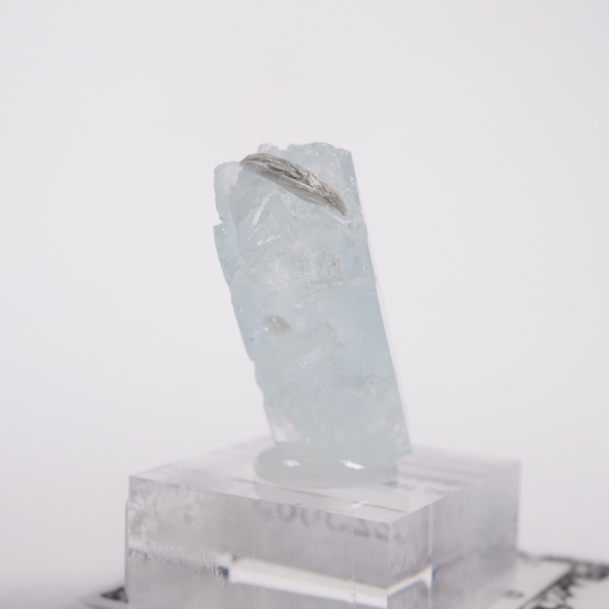 �ѥ������� �٥��