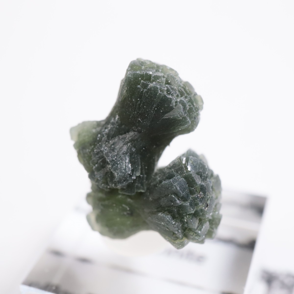 ����å��� �ץ�ʥ���