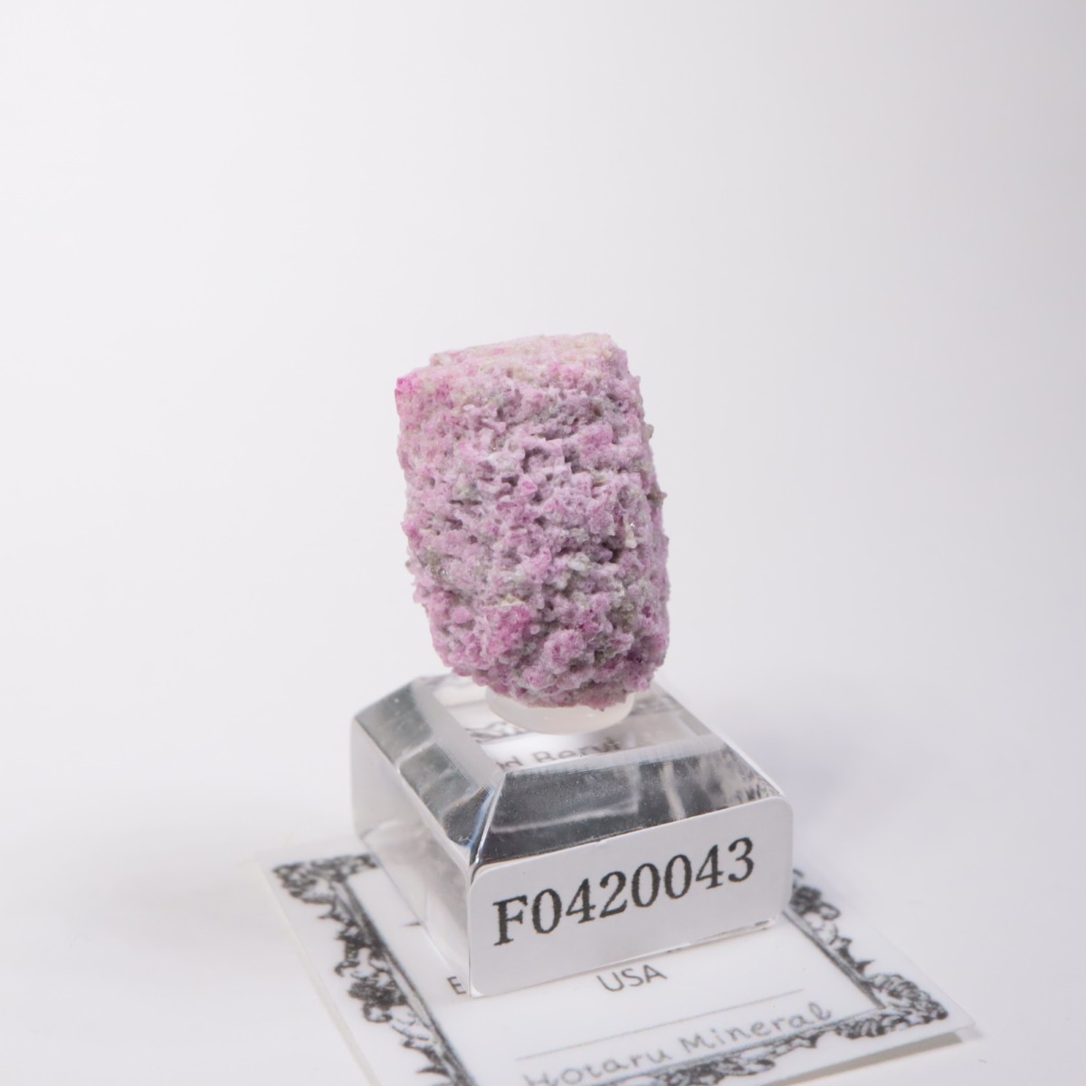 Ruby Violet�ۻ� ��åɥ٥��