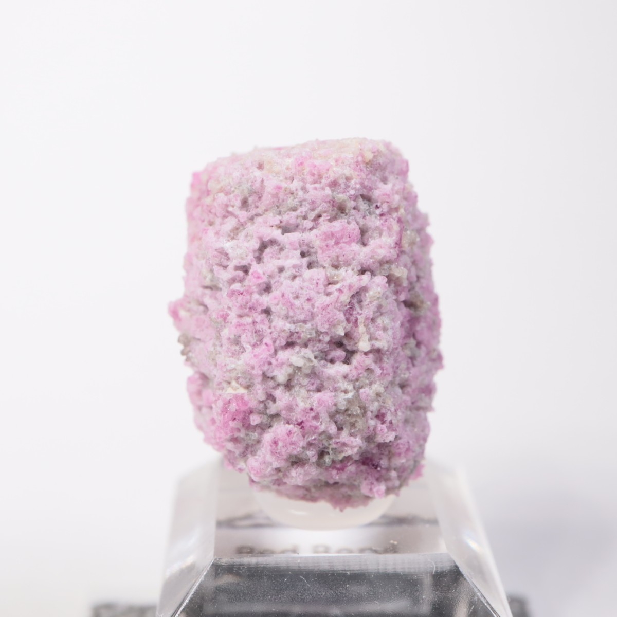 Ruby Violet�ۻ� ��åɥ٥��