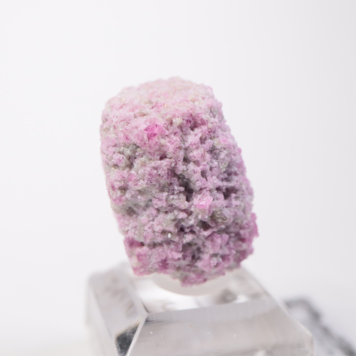 Ruby Violet�ۻ� ��åɥ٥��