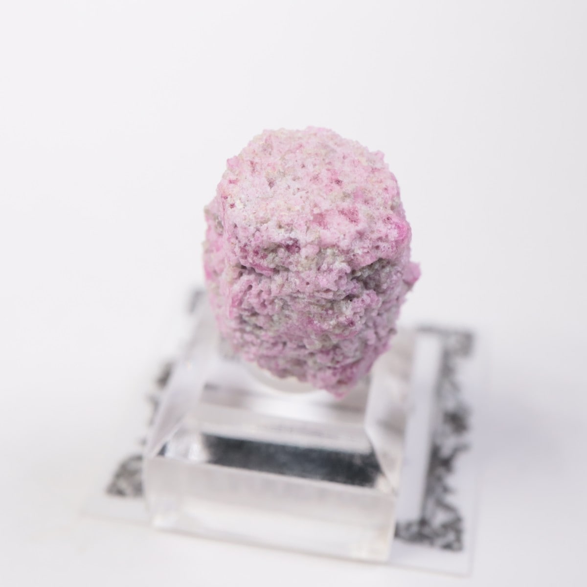 Ruby Violet�ۻ� ��åɥ٥��