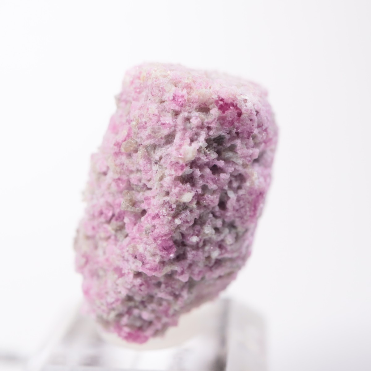 Ruby Violet�ۻ� ��åɥ٥��