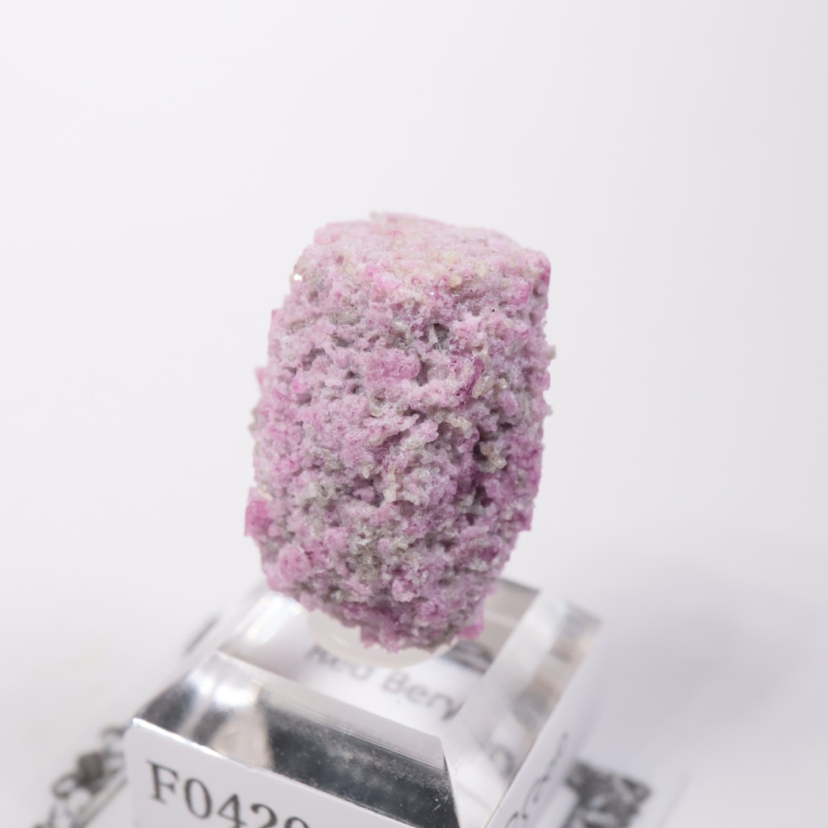 Ruby Violet�ۻ� ��åɥ٥��