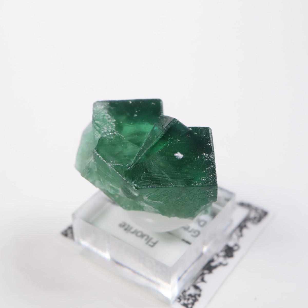 Greedy Hog Pocket�� �ե����饤��