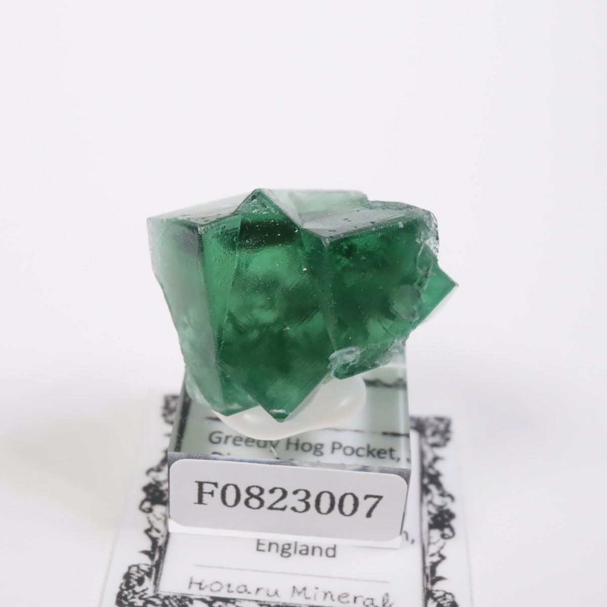 Greedy Hog Pocket�� �ե����饤��