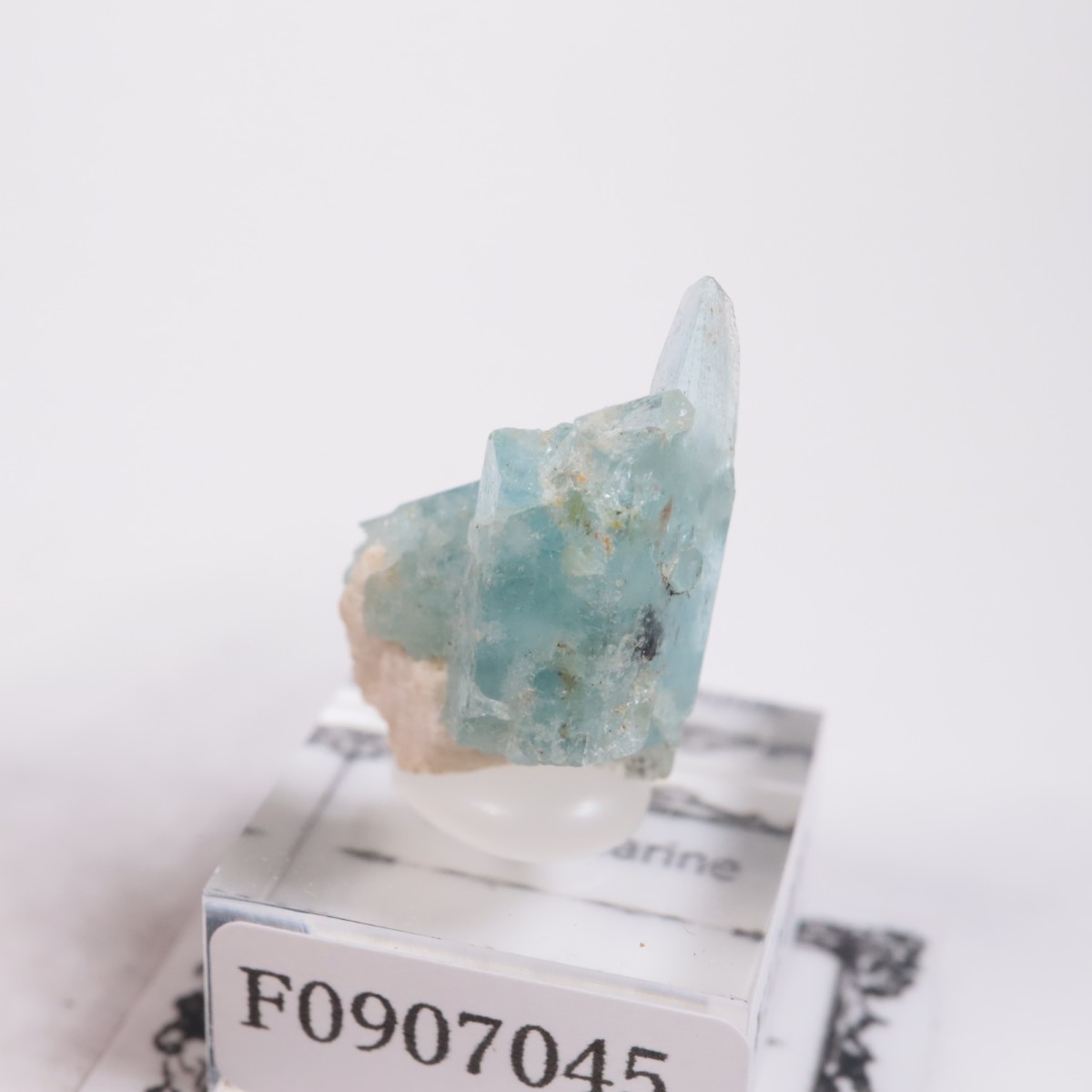 �֥饸�뻺 �������ޥ��