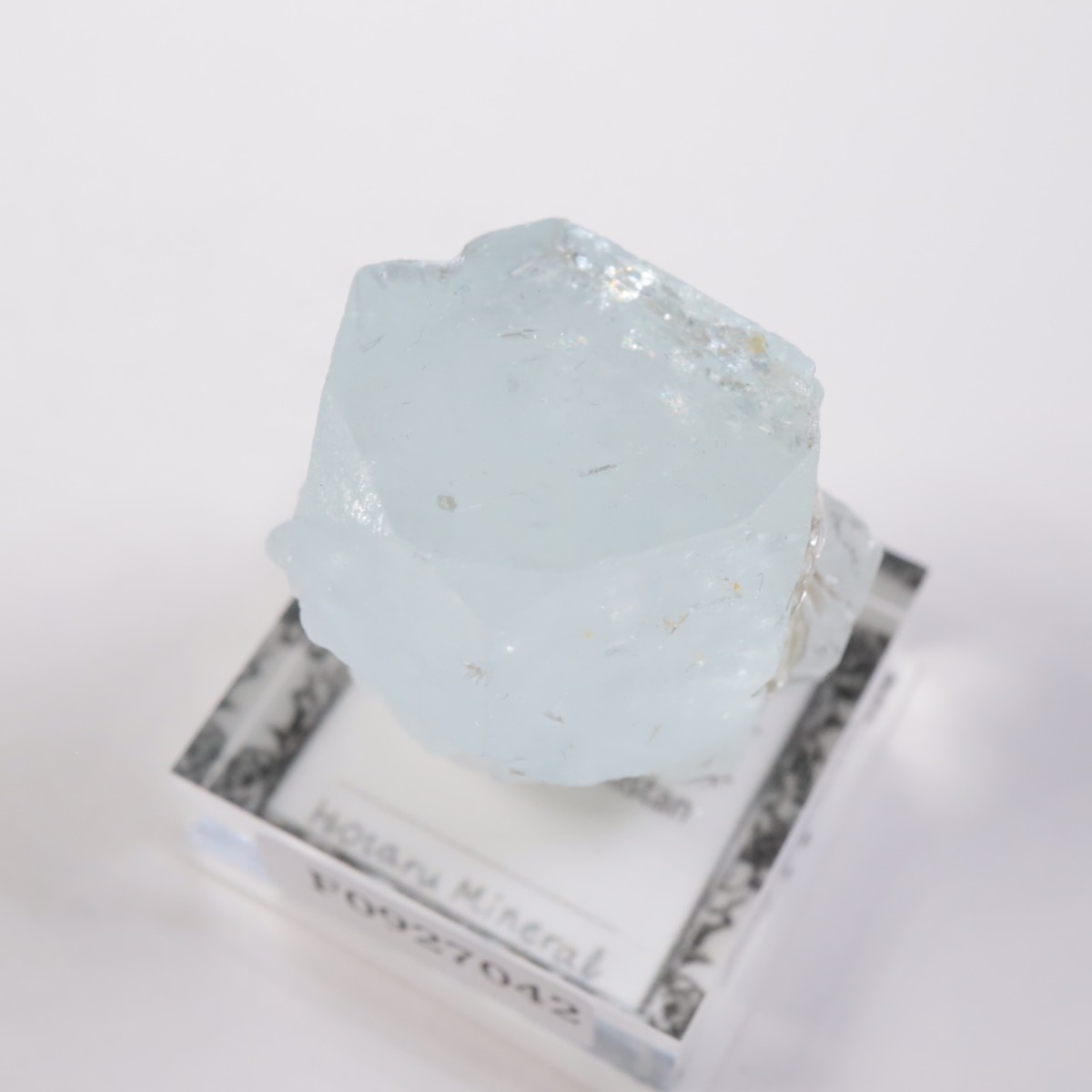 �ѥ������� �������ޥ��