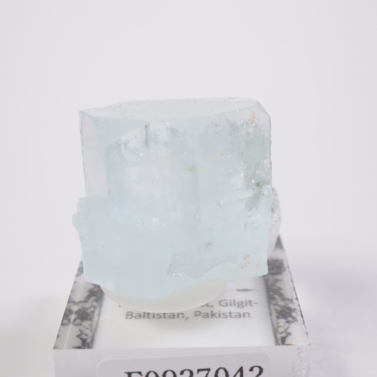 �ѥ������� �������ޥ��