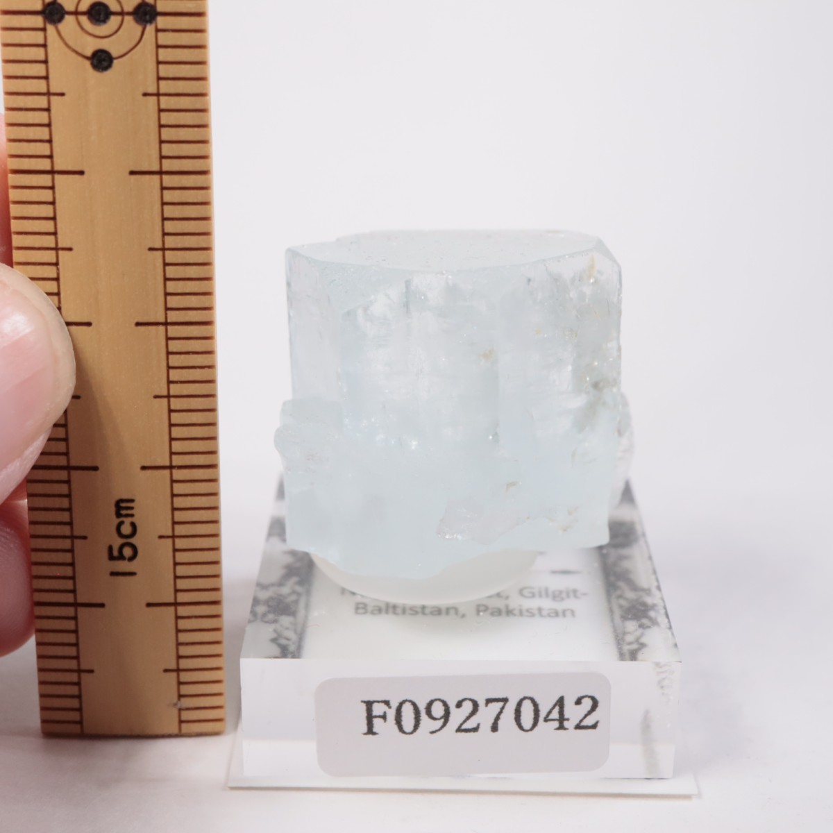 �ѥ������� �������ޥ��