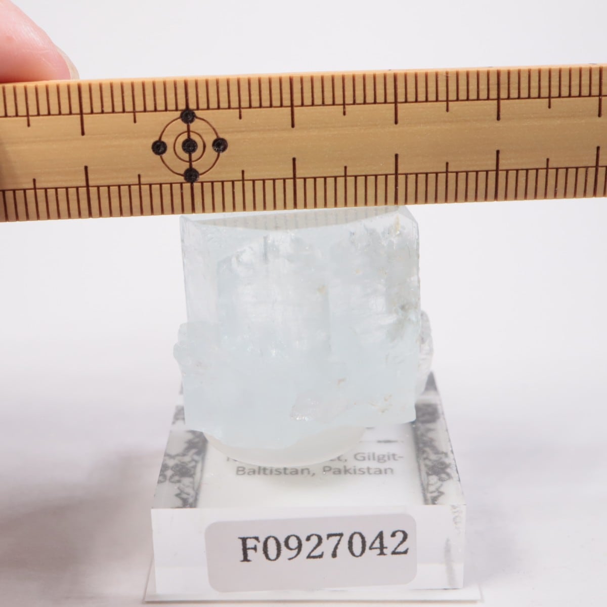 �ѥ������� �������ޥ��