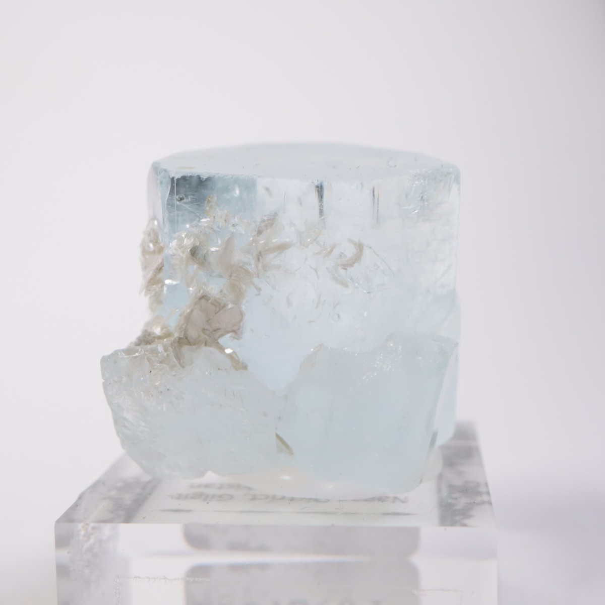 �ѥ������� �������ޥ��