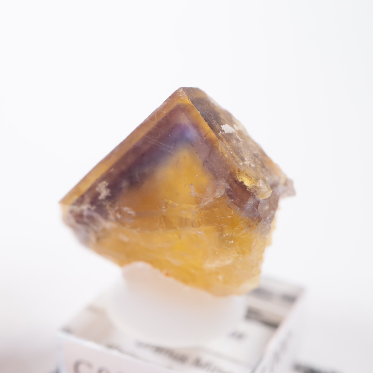 �ɥ��Ļ� �ե����饤��