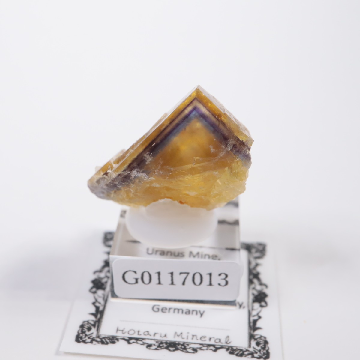 �ɥ��Ļ� �ե����饤��