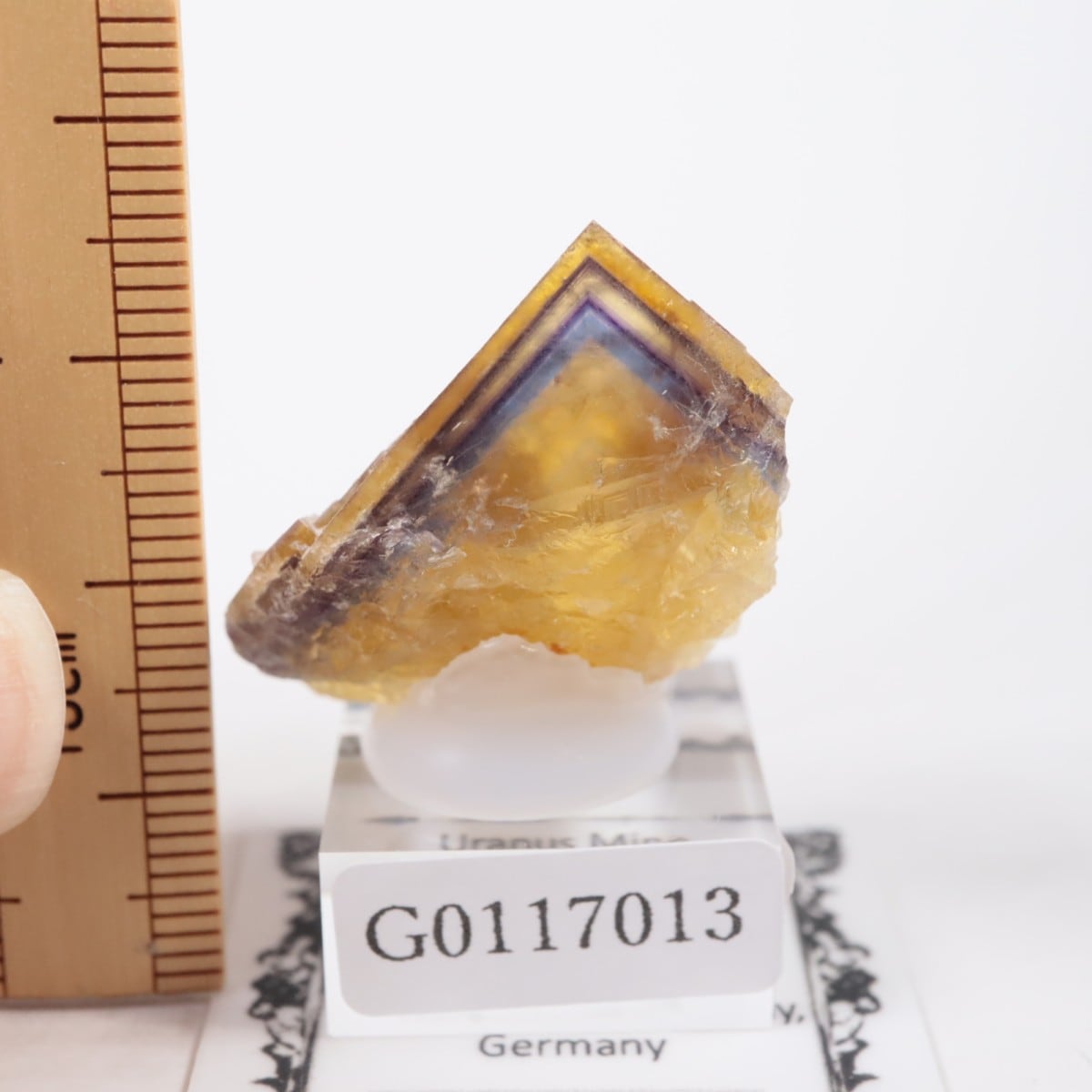 �ɥ��Ļ� �ե����饤��