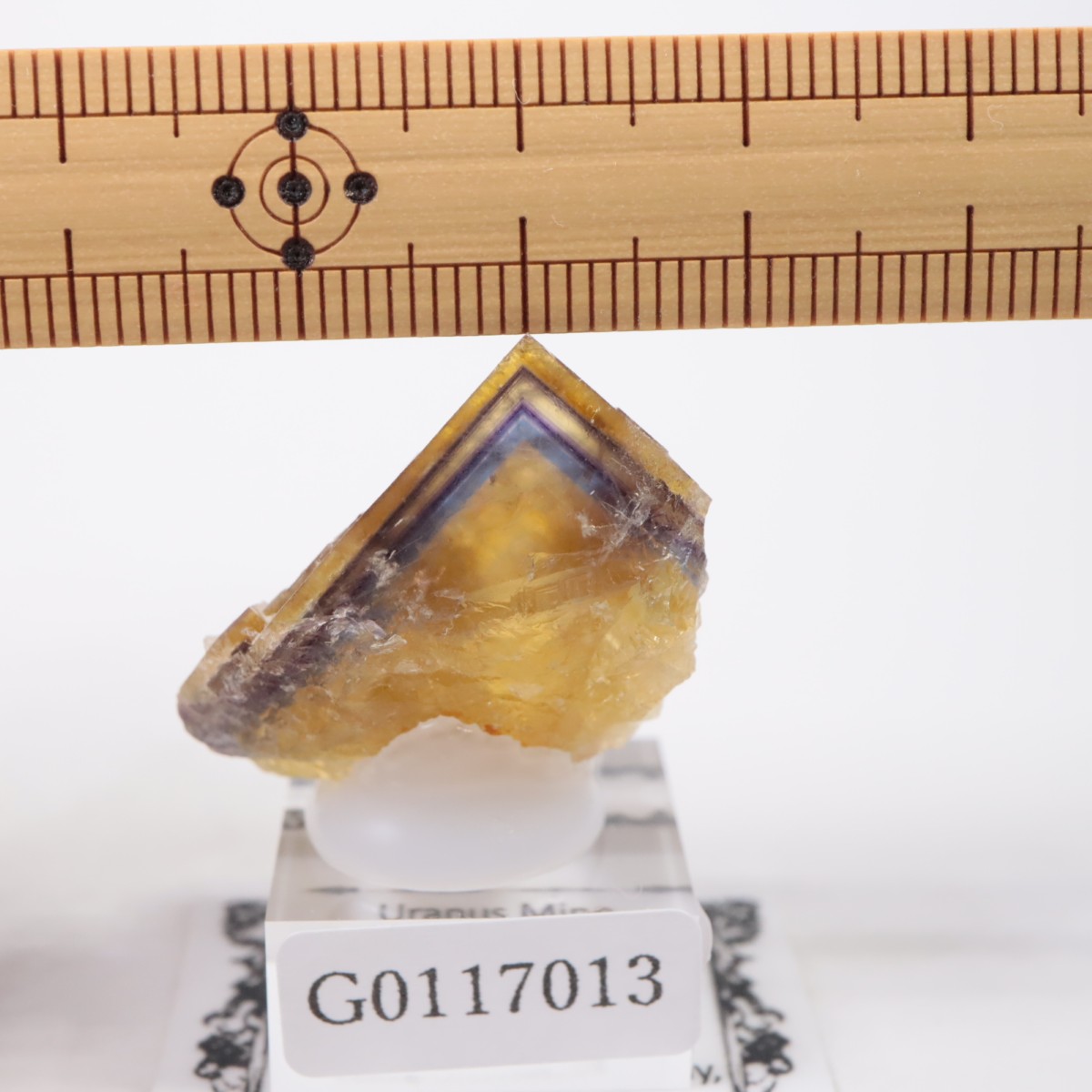 �ɥ��Ļ� �ե����饤��