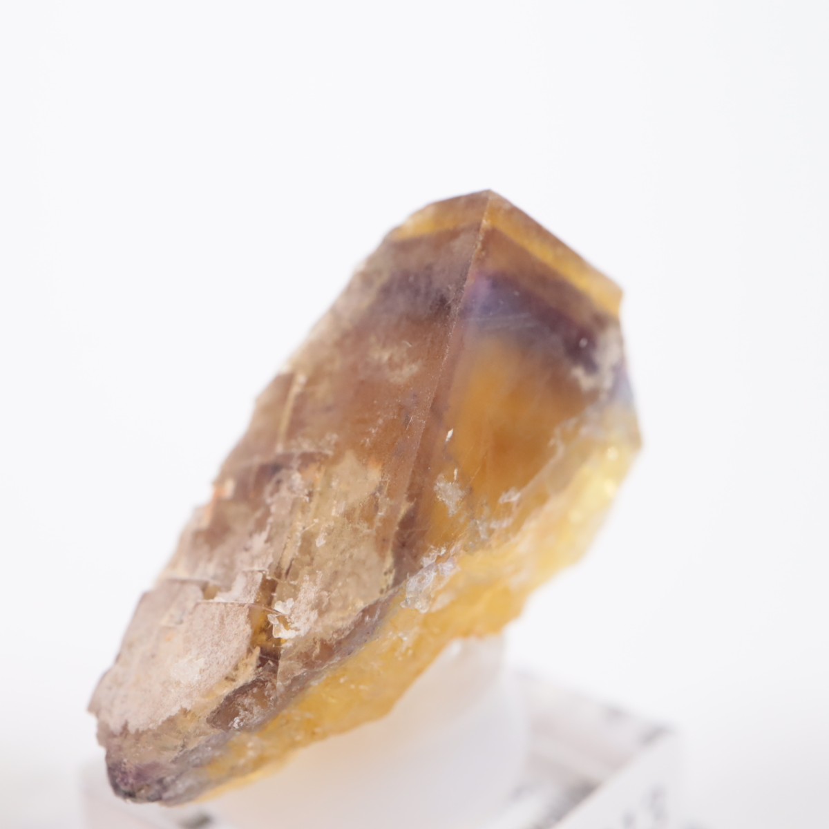 �ɥ��Ļ� �ե����饤��