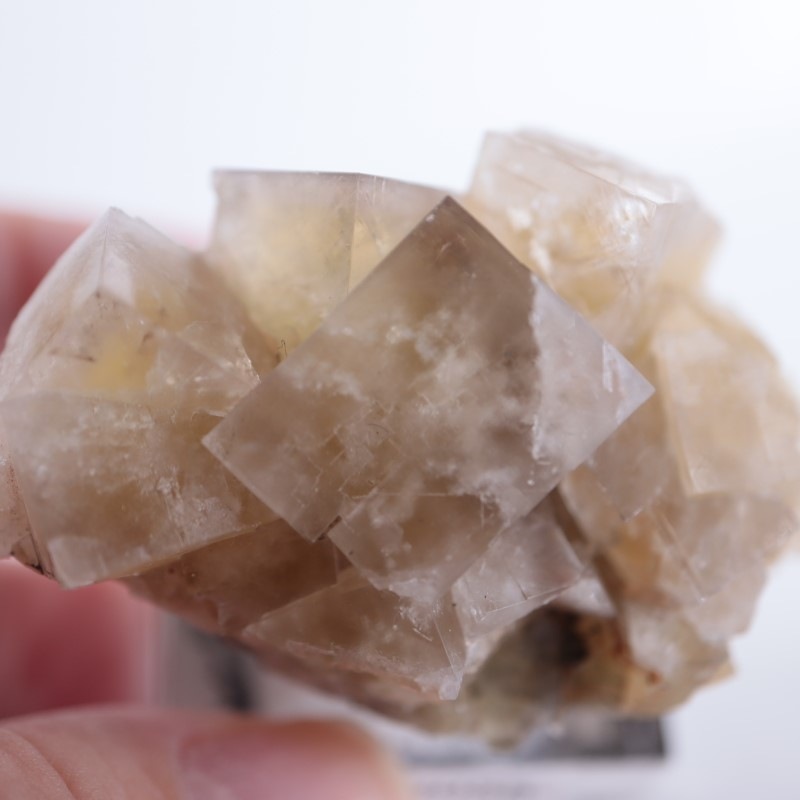 イギリス産 フローライト | 鉱物標本,ハ行,フローライト/蛍石 | ほたる