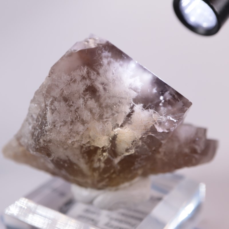 フローライト　sherry twins pocket Sherry Twins Pocket フローライト | 鉱物標本,ハ行,フローライト/蛍石