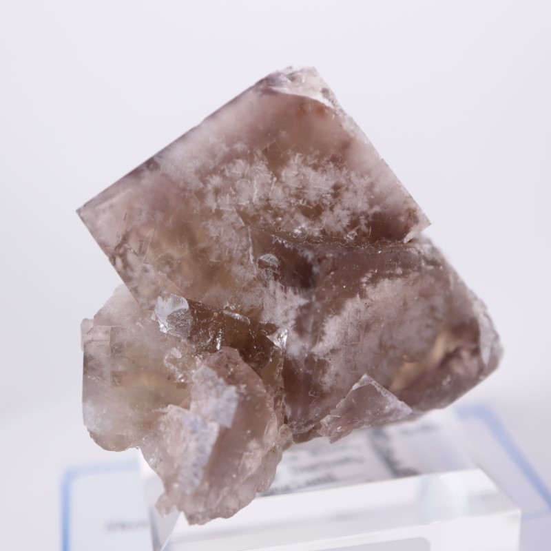 フローライト　sherry twins pocket Sherry Twins Pocket フローライト | 鉱物標本,ハ行,フローライト/蛍石