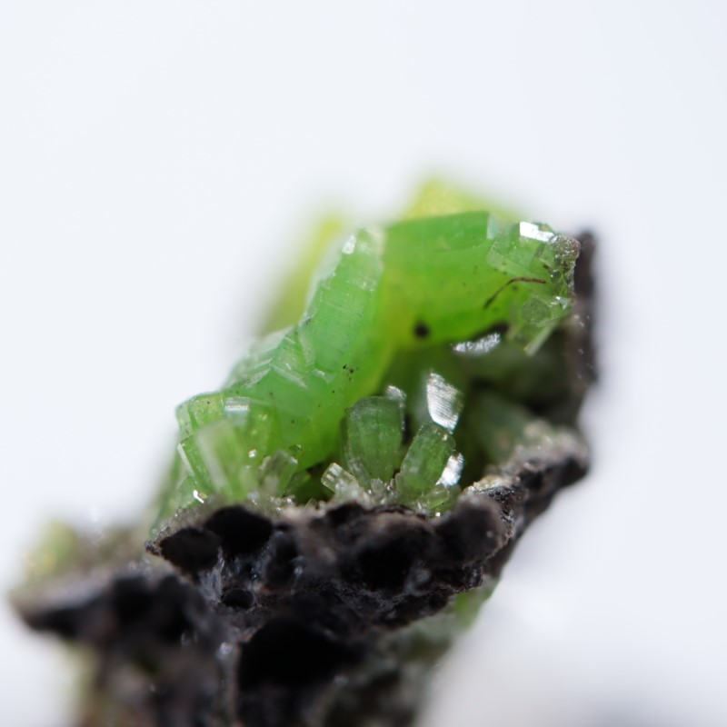 中国産 パイロモルファイト | 鉱物標本,ハ行,パイロモルファイト/緑鉛