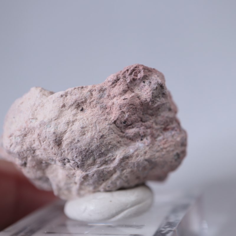 Sonora�������᥷����