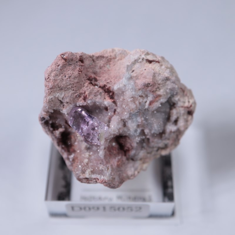 Sonora�������᥷����