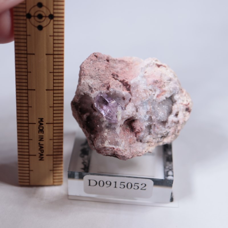 Sonora�������᥷����