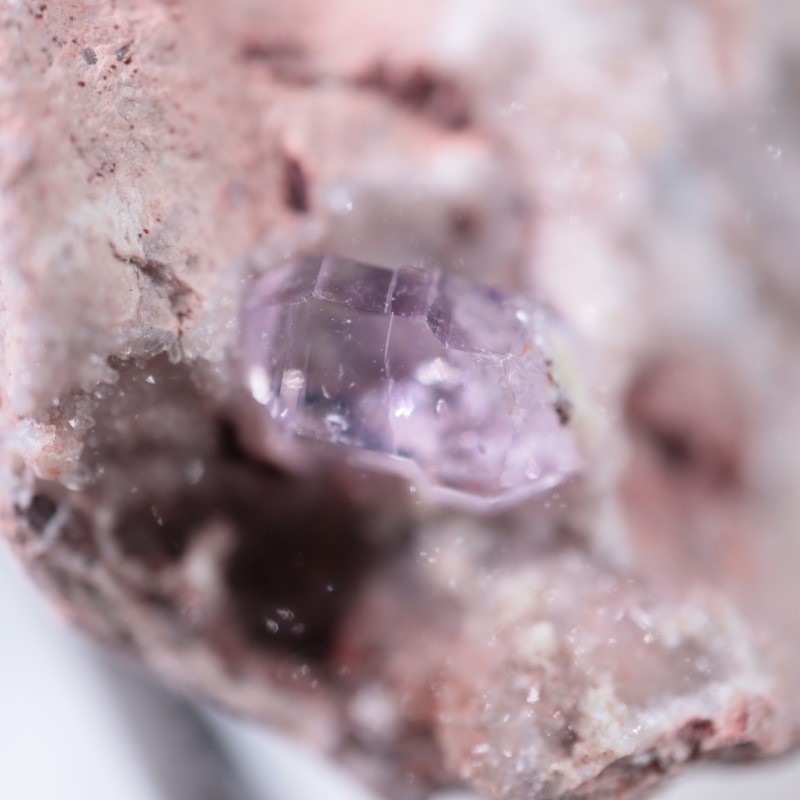 Sonora�������᥷����