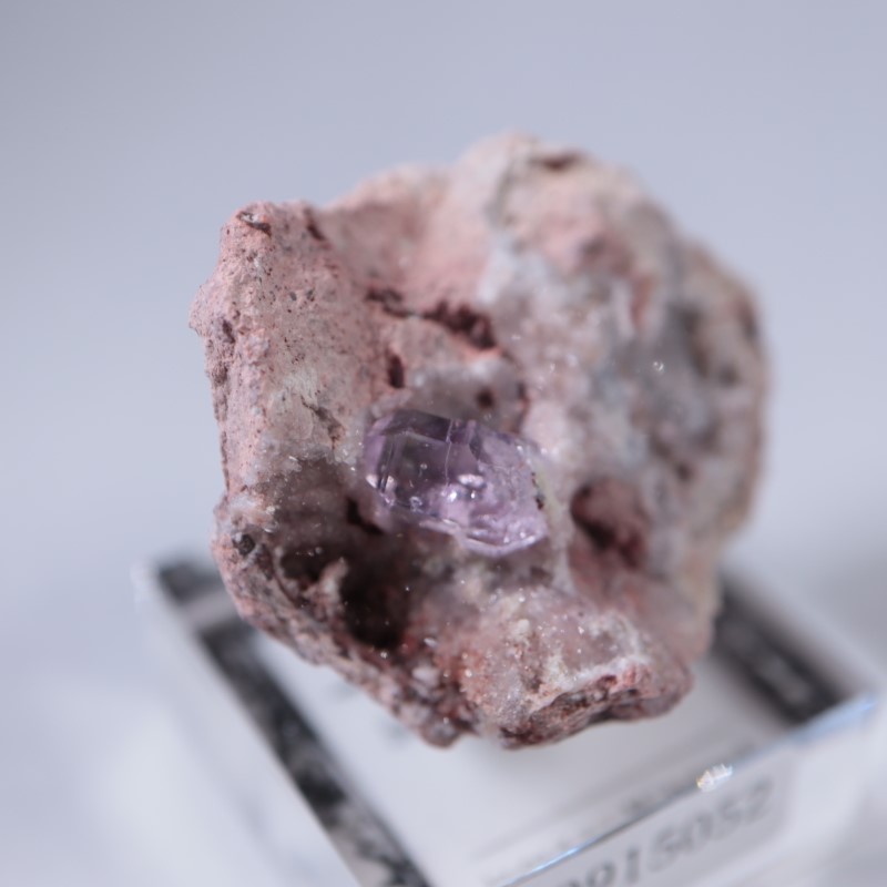 Sonora�������᥷����