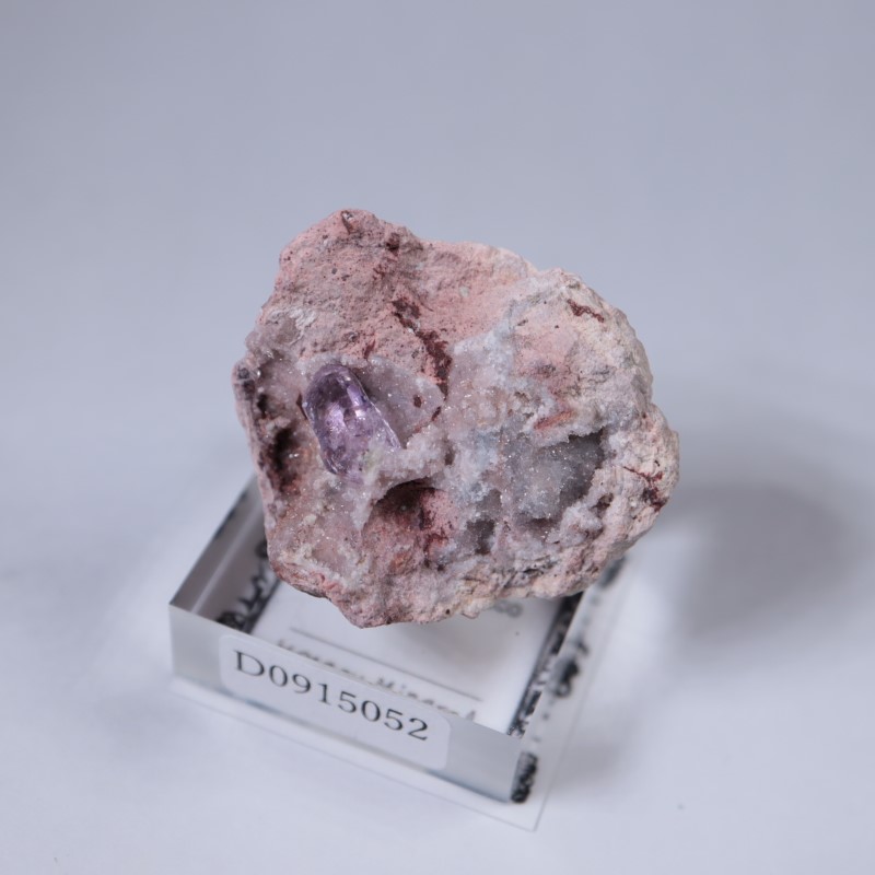 Sonora�������᥷����