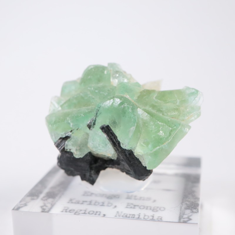 �����󥴹ۻ��� �ե����饤��