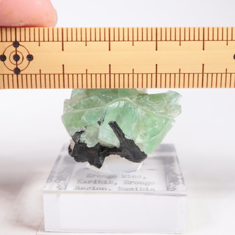 �����󥴹ۻ��� �ե����饤��