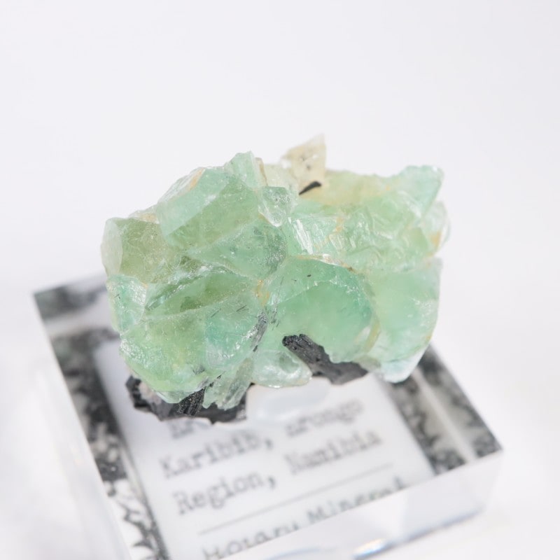 �����󥴹ۻ��� �ե����饤��