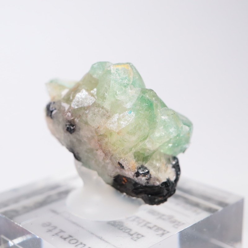 �����󥴹ۻ��� �ե����饤��