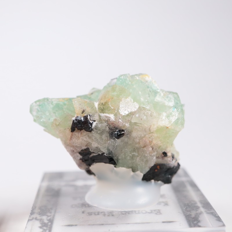 �����󥴹ۻ��� �ե����饤��