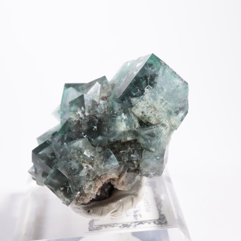 Fairy Holes Pocket �ե����饤��