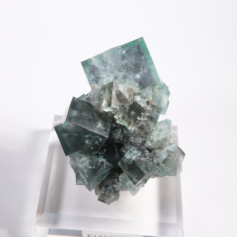 Fairy Holes Pocket �ե����饤��