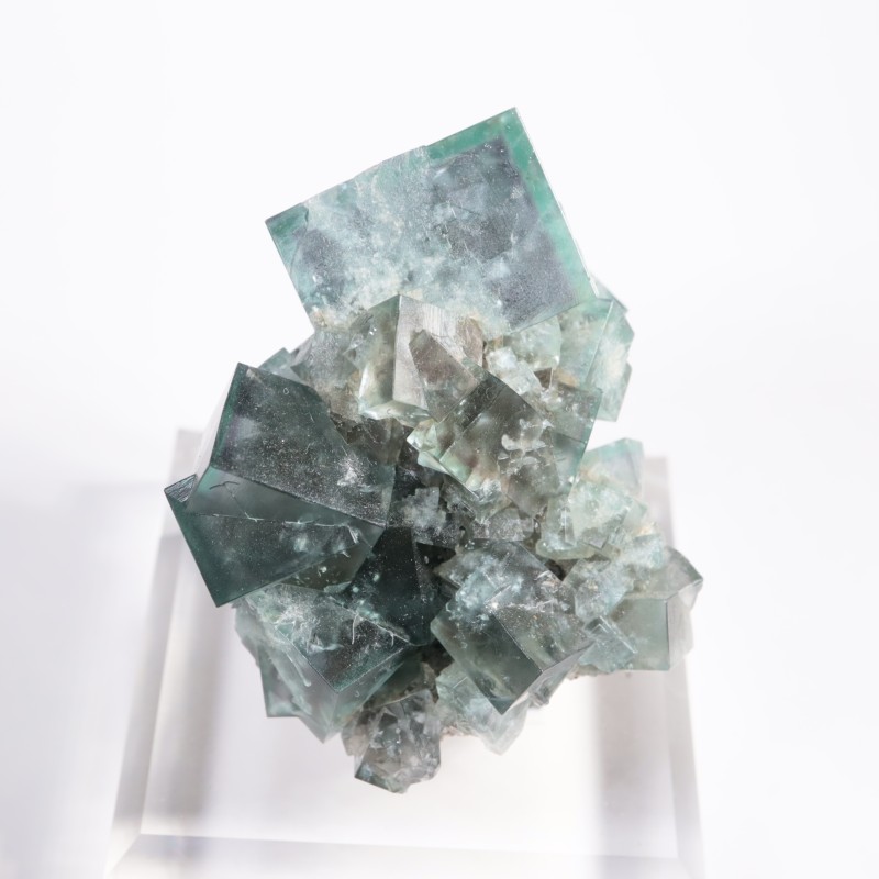 Fairy Holes Pocket �ե����饤��