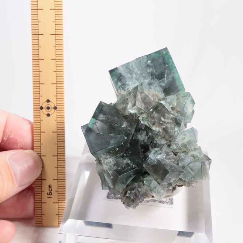 Fairy Holes Pocket �ե����饤��