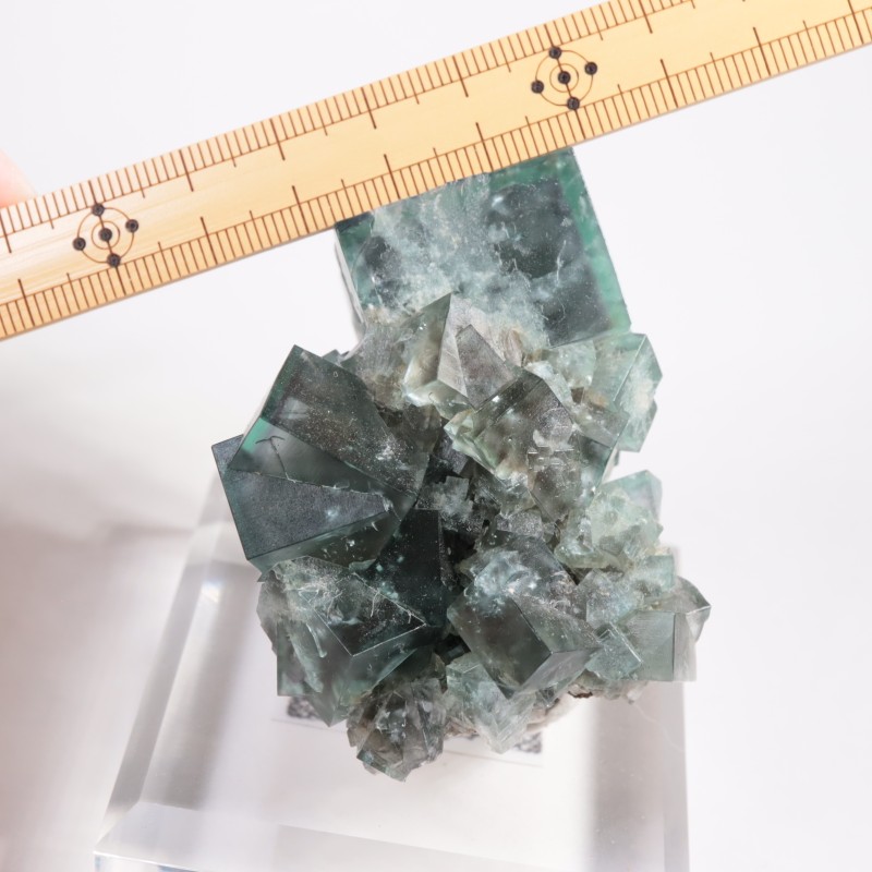 Fairy Holes Pocket �ե����饤��