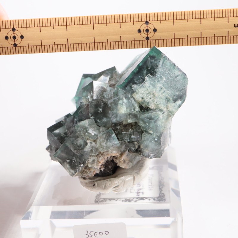 Fairy Holes Pocket �ե����饤��